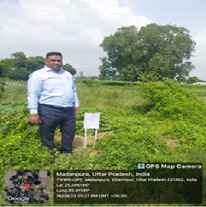 Durgesh Kumar Mishra, Uttar Pradesh (Archived)